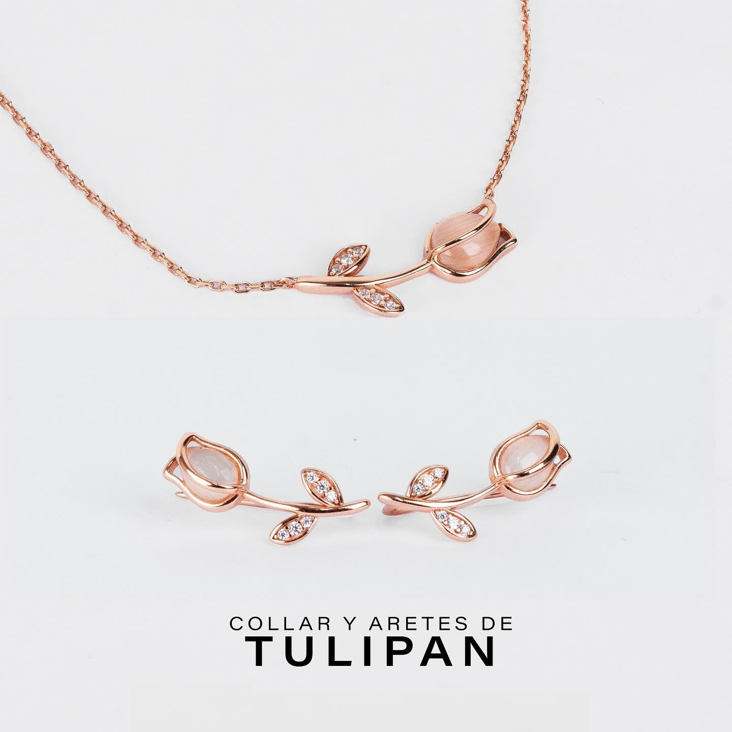 DUO TULIPAN + TARJETA PERSONALIZADA GRATIS🌷💌🎁