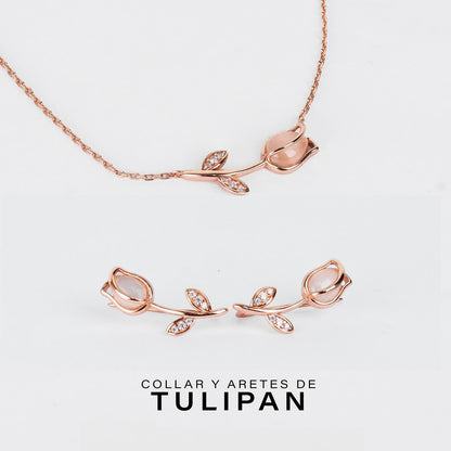 DUO TULIPAN + TARJETA PERSONALIZADA GRATIS🌷💌🎁
