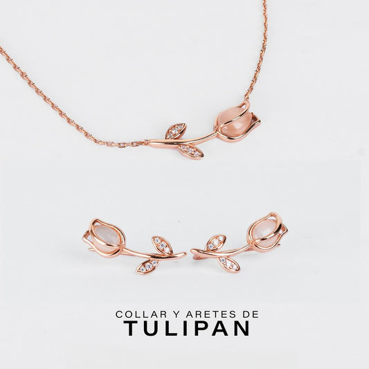 DUO TULIPAN + TARJETA PERSONALIZADA GRATIS🌷💌🎁